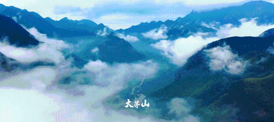逃离马儿森林